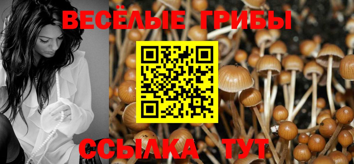 Cocaine Сорочинск