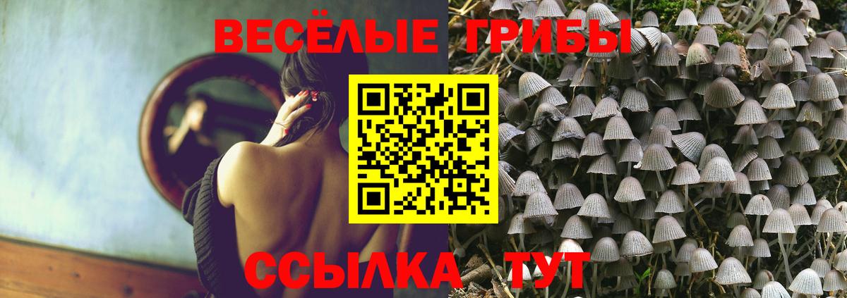 Сорочинск  Псилоцибиновые грибы Magic Shrooms  Вход с VPN 