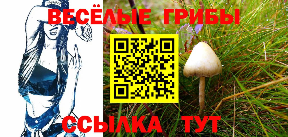 Псилоцибиновые грибы Cubensis Сорочинск